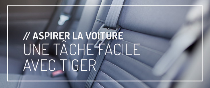 aspirar-coche-con-tiger-fioto